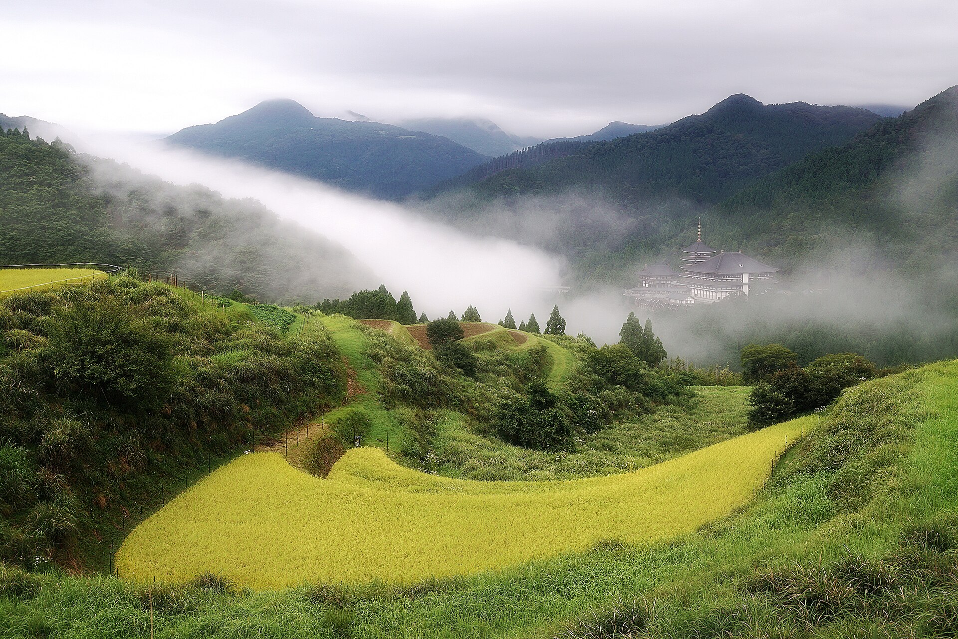雲海が流れる山あいの西ヶ岡の棚田