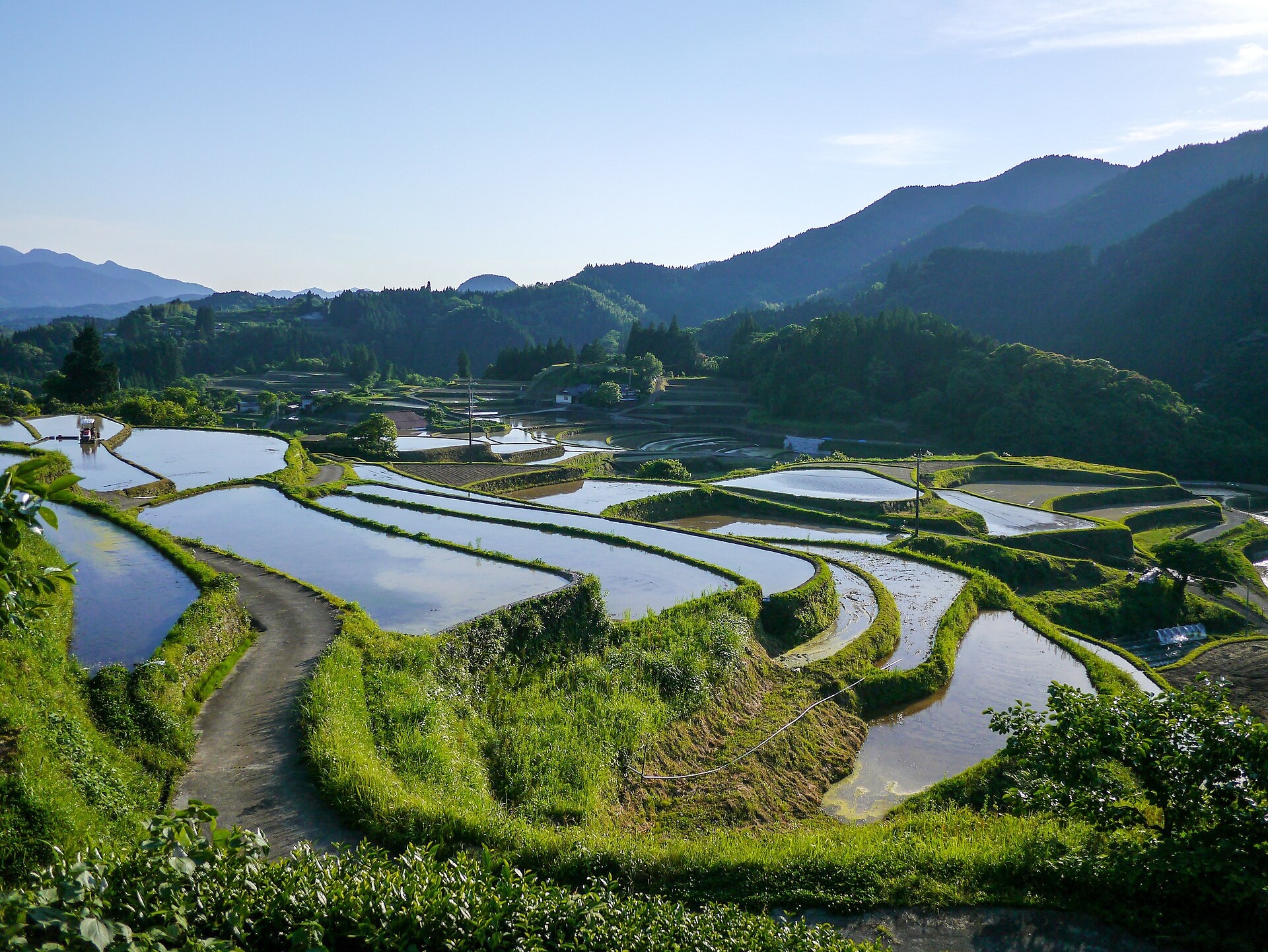 水を張った棚田と山並みを見渡す朝の風景